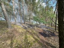 F WALD 1
