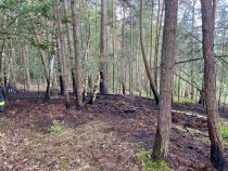F WALD 1